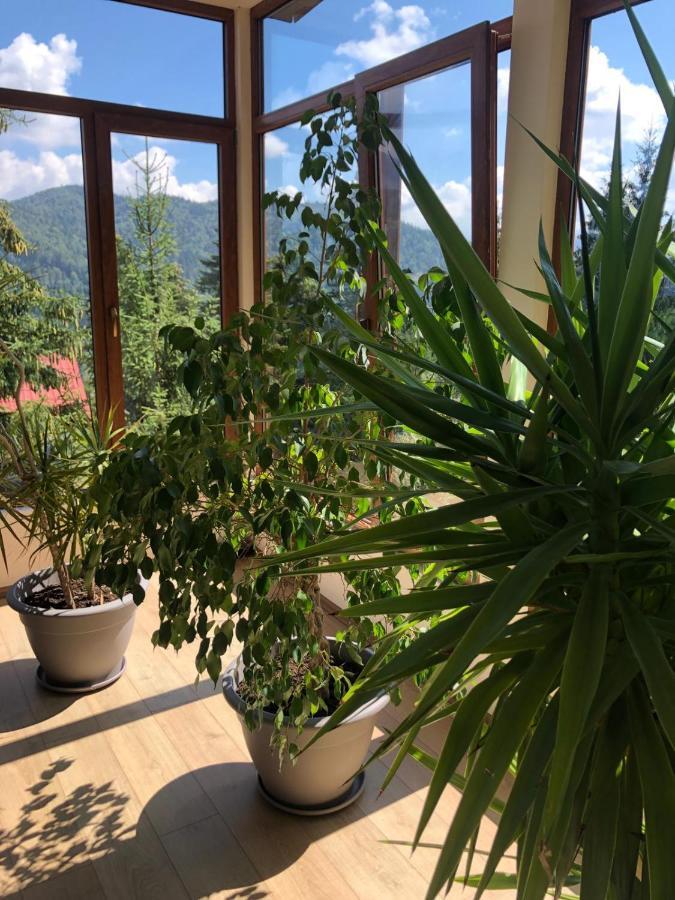 Genco Hotel Mountain View Predeal Extérieur photo